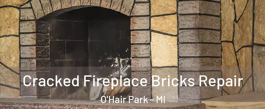 Cracked Fireplace Bricks Repair O'Hair Park - MI