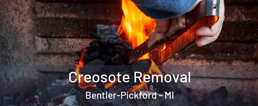 Creosote Removal Bentler-Pickford - MI