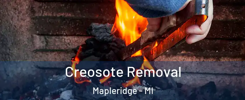 Creosote Removal Mapleridge - MI