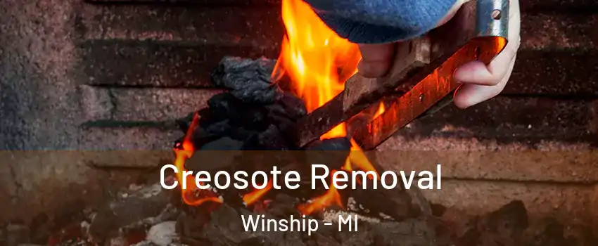 Creosote Removal Winship - MI