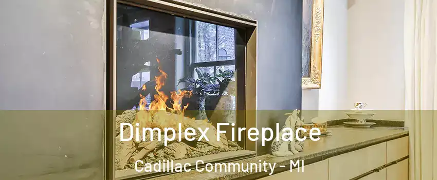 Dimplex Fireplace Cadillac Community - MI