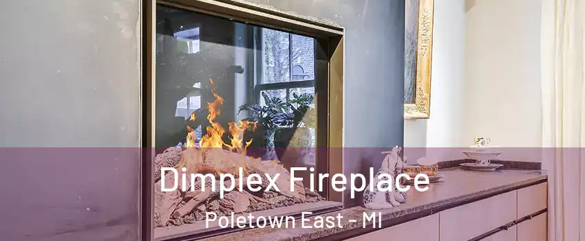 Dimplex Fireplace Poletown East - MI