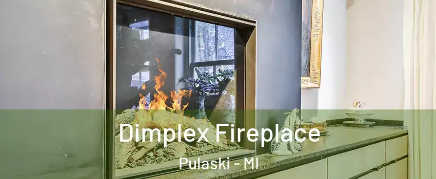 Dimplex Fireplace Pulaski - MI