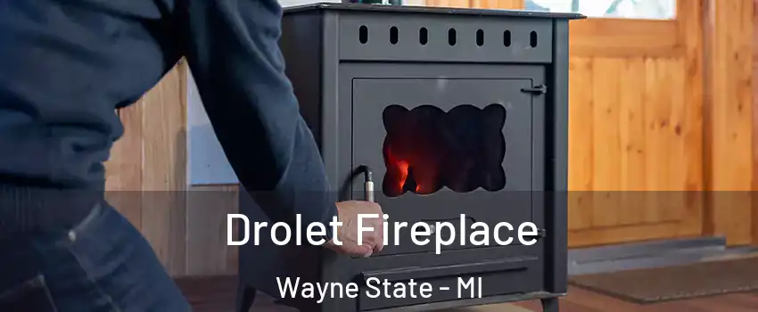 Drolet Fireplace Wayne State - MI