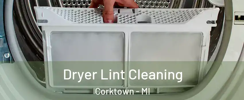 Dryer Lint Cleaning Corktown - MI