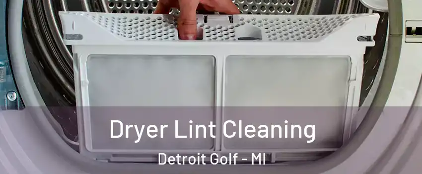 Dryer Lint Cleaning Detroit Golf - MI