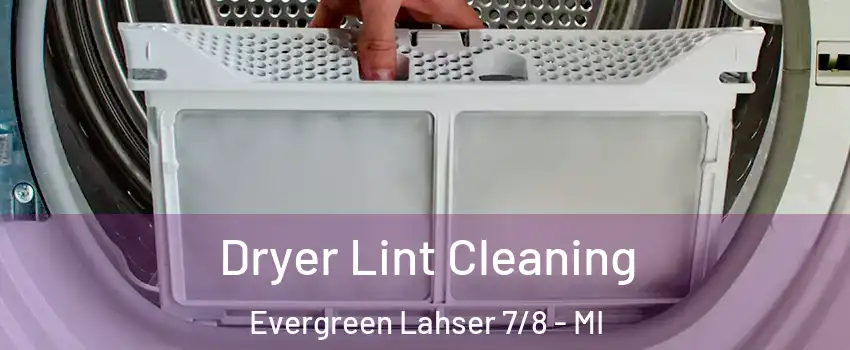 Dryer Lint Cleaning Evergreen Lahser 7/8 - MI