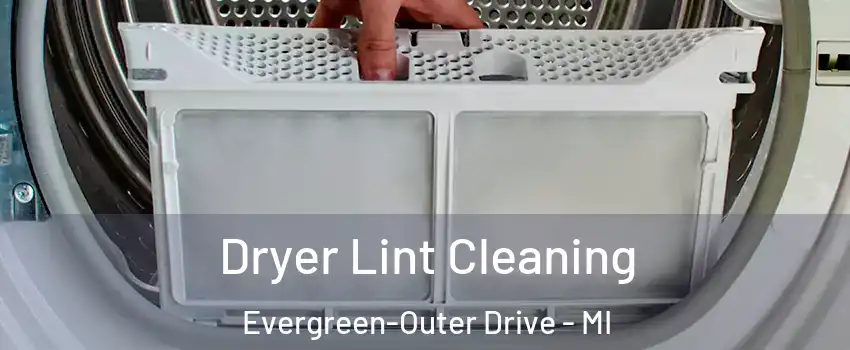 Dryer Lint Cleaning Evergreen-Outer Drive - MI