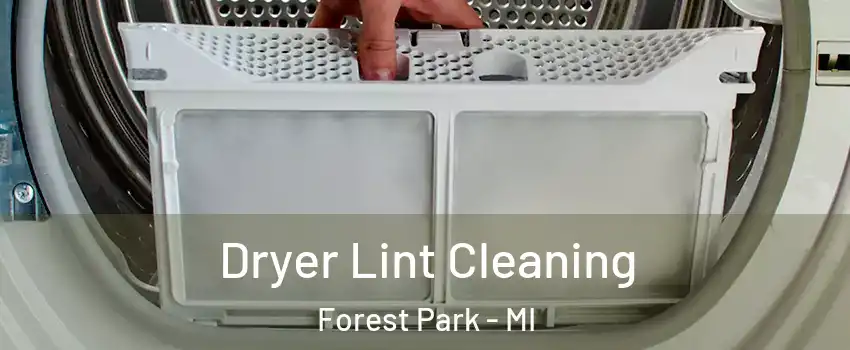 Dryer Lint Cleaning Forest Park - MI