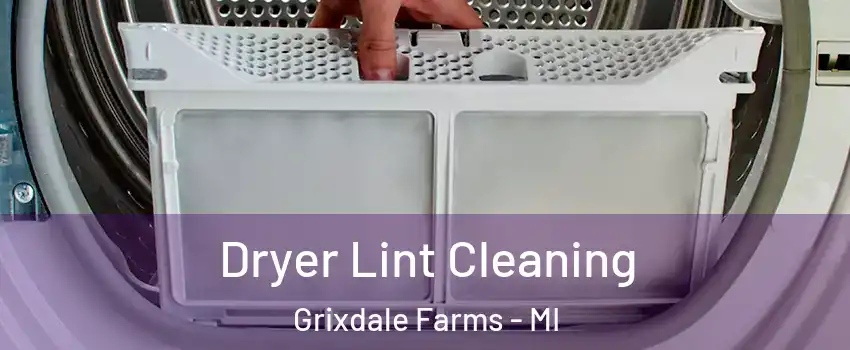 Dryer Lint Cleaning Grixdale Farms - MI