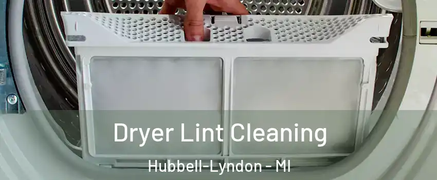 Dryer Lint Cleaning Hubbell-Lyndon - MI