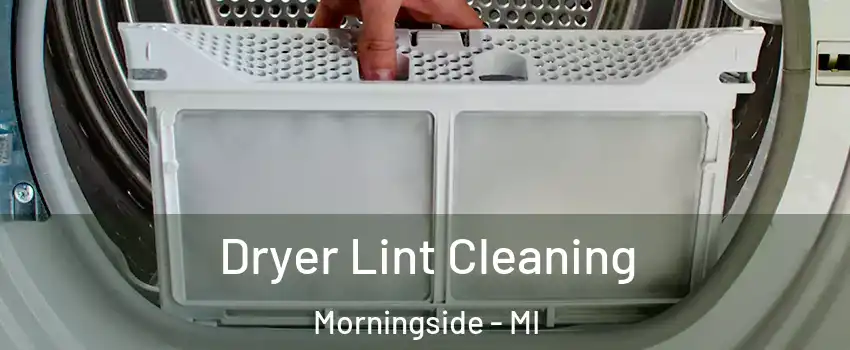 Dryer Lint Cleaning Morningside - MI