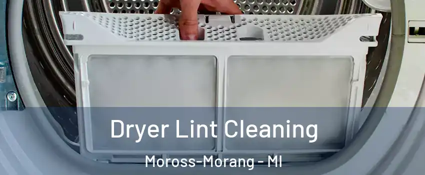 Dryer Lint Cleaning Moross-Morang - MI