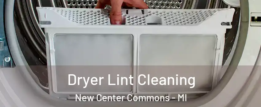 Dryer Lint Cleaning New Center Commons - MI