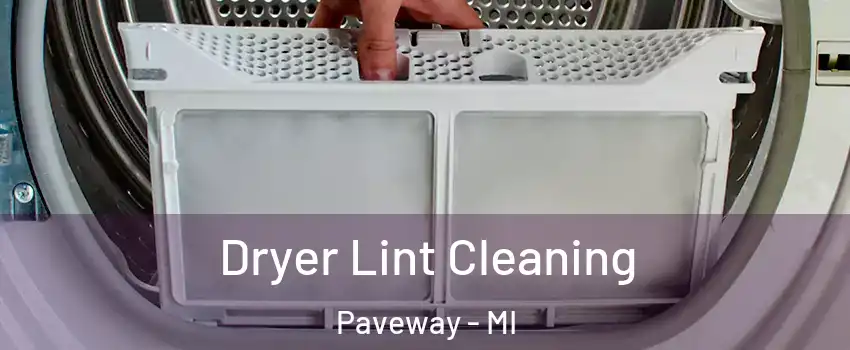 Dryer Lint Cleaning Paveway - MI