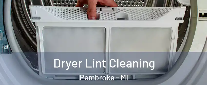 Dryer Lint Cleaning Pembroke - MI
