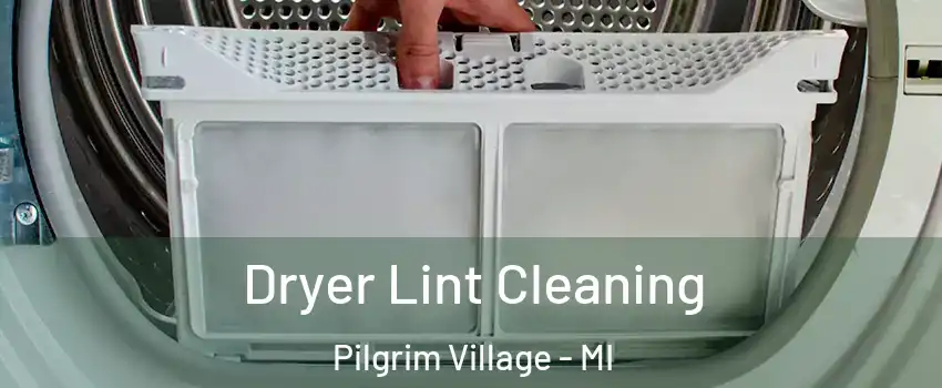 Dryer Lint Cleaning Pilgrim Village - MI