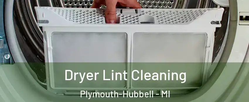 Dryer Lint Cleaning Plymouth-Hubbell - MI
