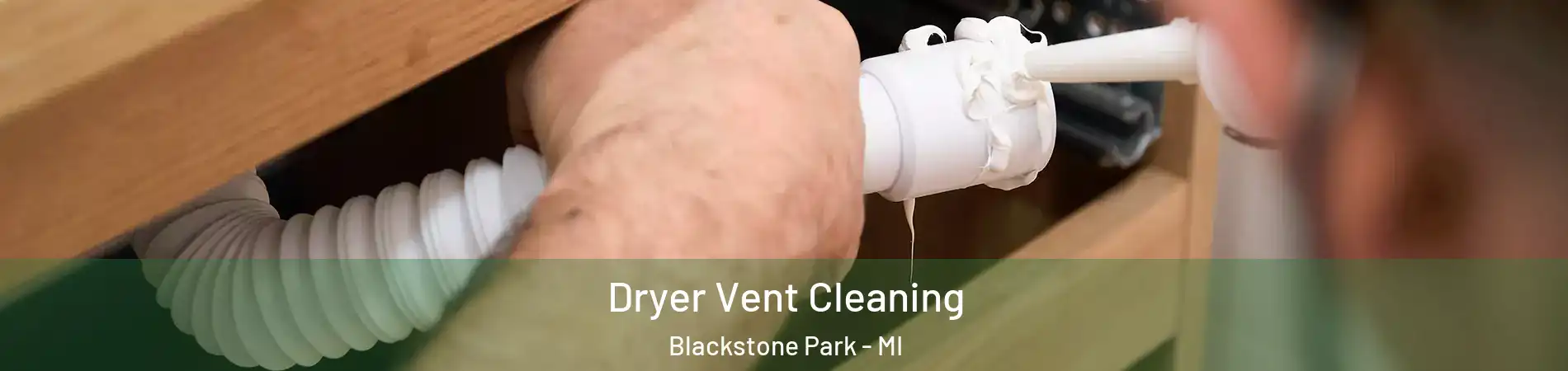 Dryer Vent Cleaning Blackstone Park - MI