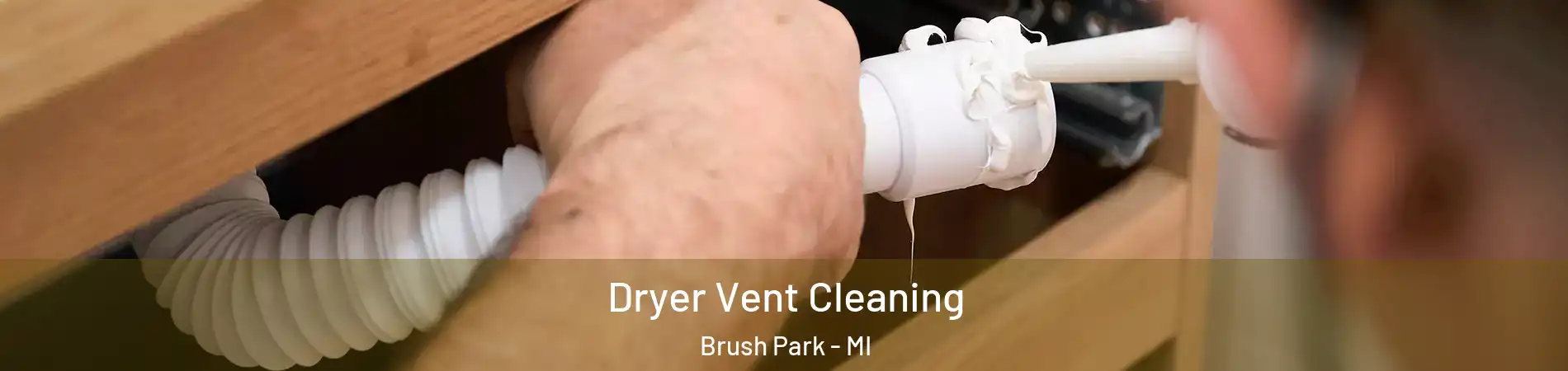 Dryer Vent Cleaning Brush Park - MI