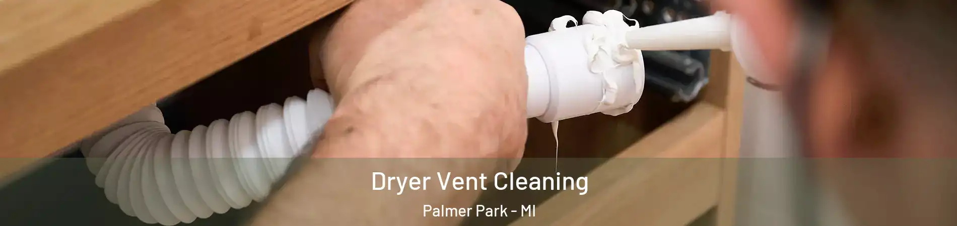 Dryer Vent Cleaning Palmer Park - MI