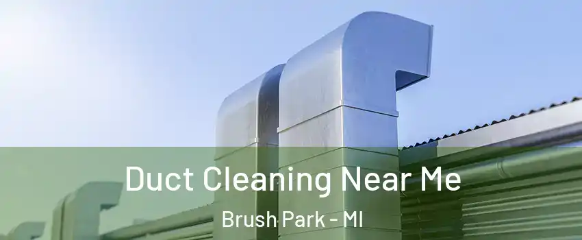 Duct Cleaning Near Me Brush Park - MI