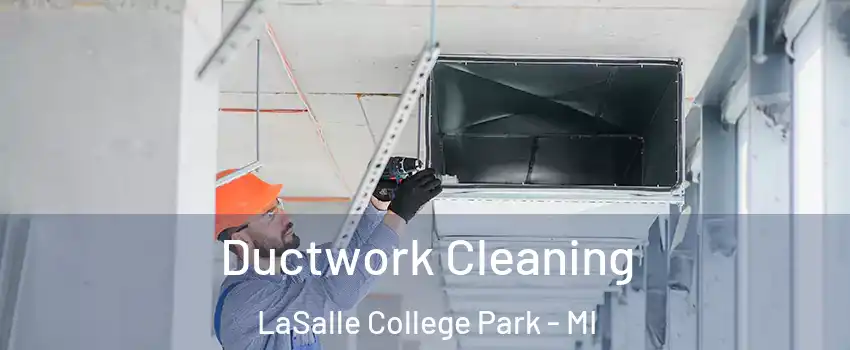 Ductwork Cleaning LaSalle College Park - MI