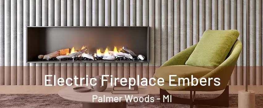 Electric Fireplace Embers Palmer Woods - MI