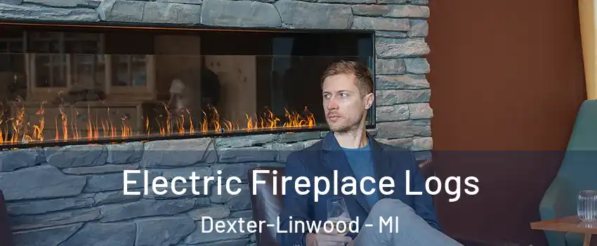 Electric Fireplace Logs Dexter-Linwood - MI