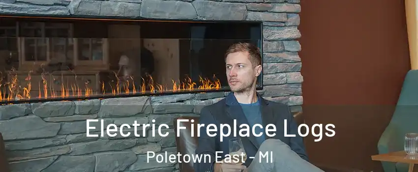 Electric Fireplace Logs Poletown East - MI