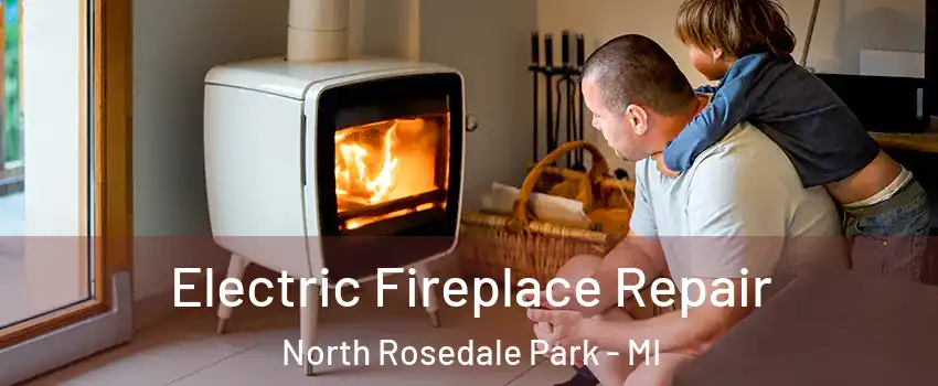 Electric Fireplace Repair North Rosedale Park - MI