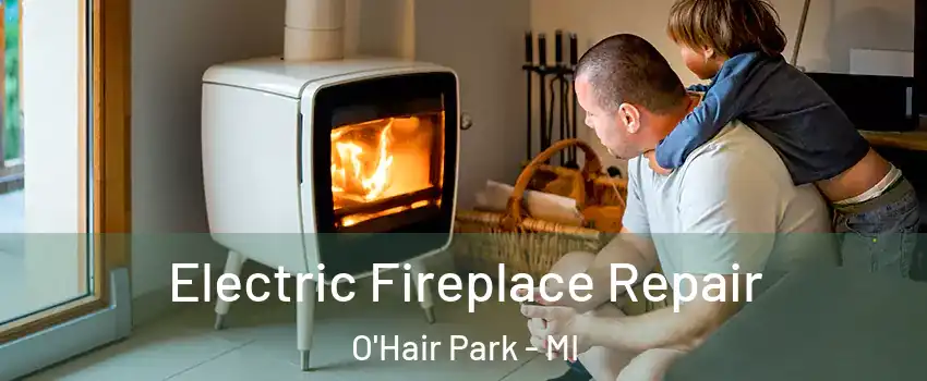 Electric Fireplace Repair O'Hair Park - MI
