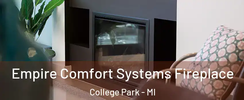 Empire Comfort Systems Fireplace College Park - MI