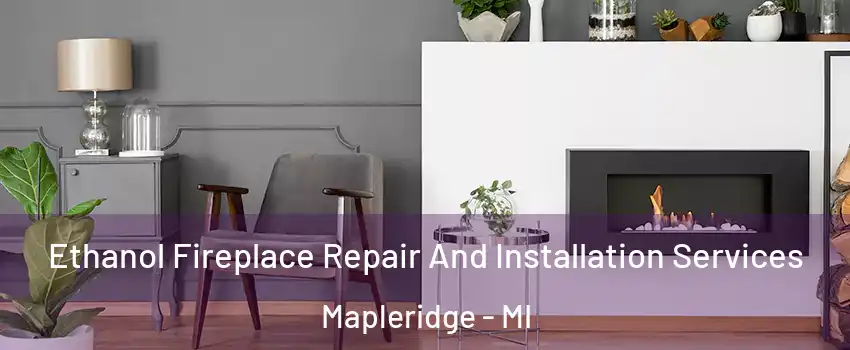 Ethanol Fireplace Repair And Installation Services Mapleridge - MI