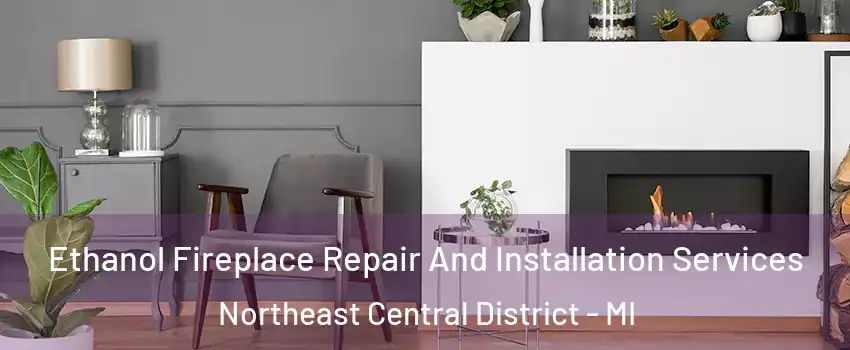 Ethanol Fireplace Repair And Installation Services Northeast Central District - MI