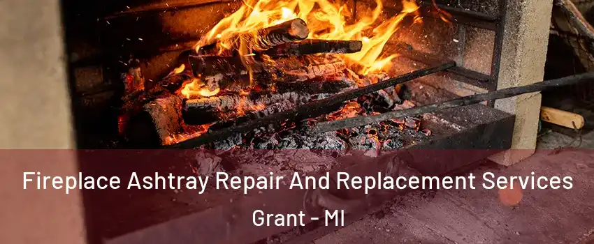 Fireplace Ashtray Repair And Replacement Services Grant - MI