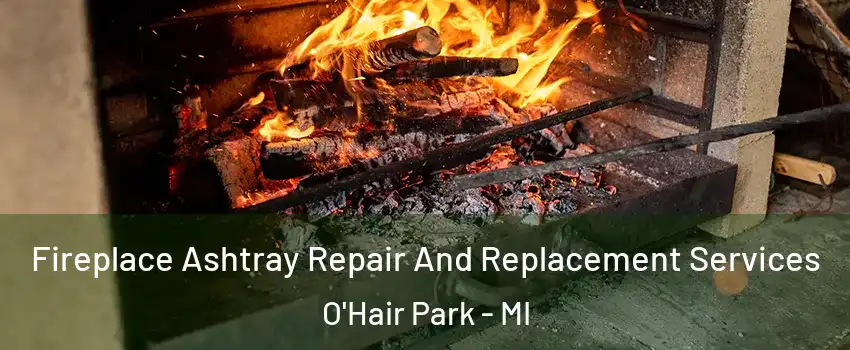 Fireplace Ashtray Repair And Replacement Services O'Hair Park - MI