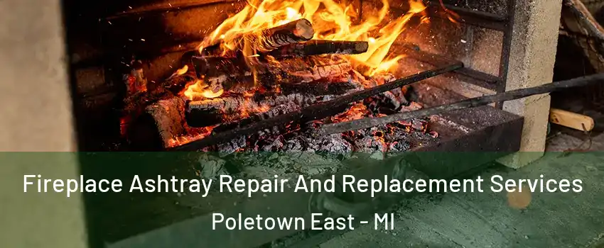 Fireplace Ashtray Repair And Replacement Services Poletown East - MI