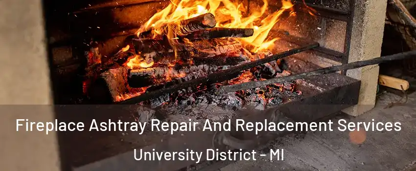 Fireplace Ashtray Repair And Replacement Services University District - MI