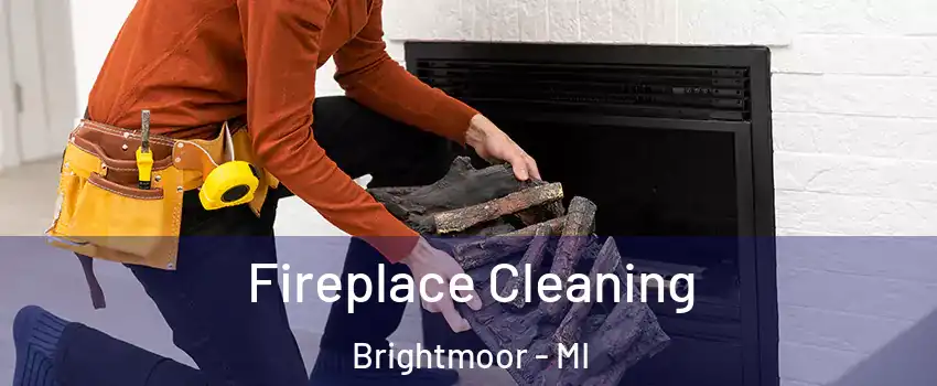Fireplace Cleaning Brightmoor - MI