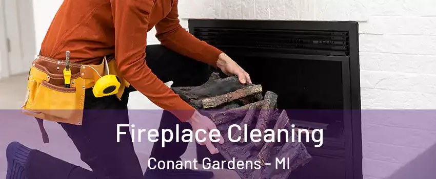 Fireplace Cleaning Conant Gardens - MI