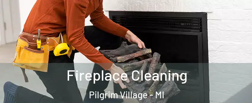 Fireplace Cleaning Pilgrim Village - MI