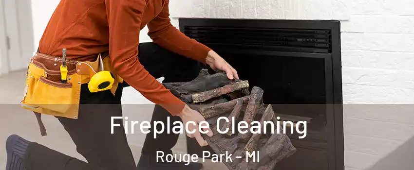 Fireplace Cleaning Rouge Park - MI