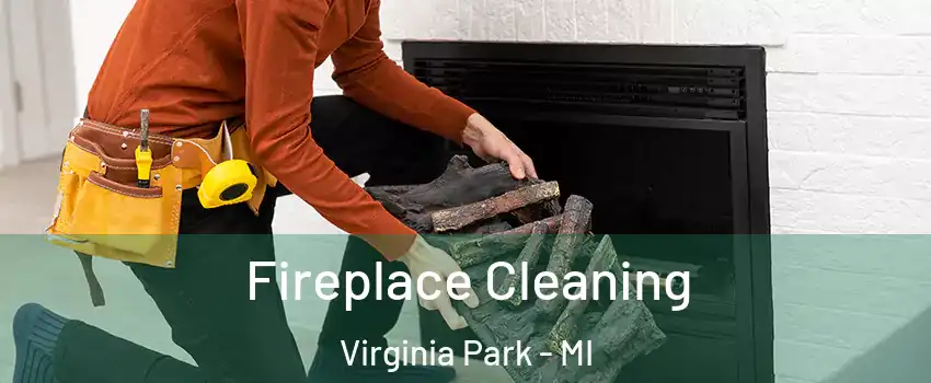 Fireplace Cleaning Virginia Park - MI