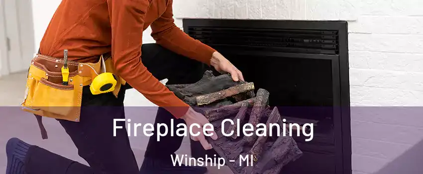 Fireplace Cleaning Winship - MI