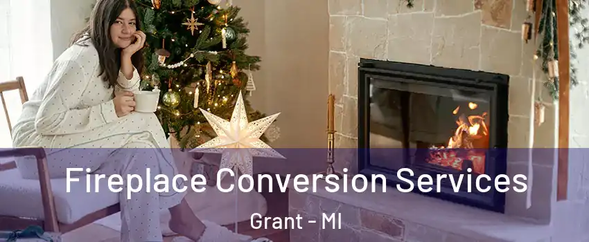 Fireplace Conversion Services Grant - MI