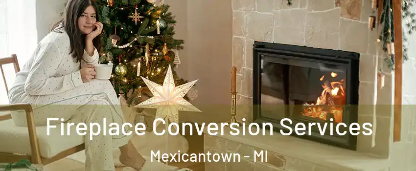Fireplace Conversion Services Mexicantown - MI