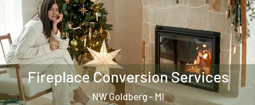 Fireplace Conversion Services NW Goldberg - MI