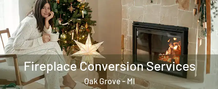 Fireplace Conversion Services Oak Grove - MI