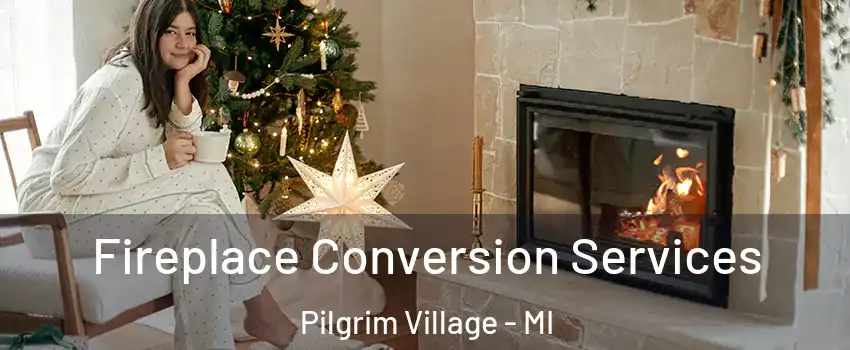 Fireplace Conversion Services Pilgrim Village - MI